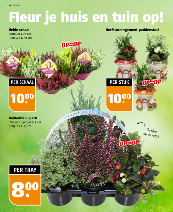 Poiesz Folder 14.09.2025