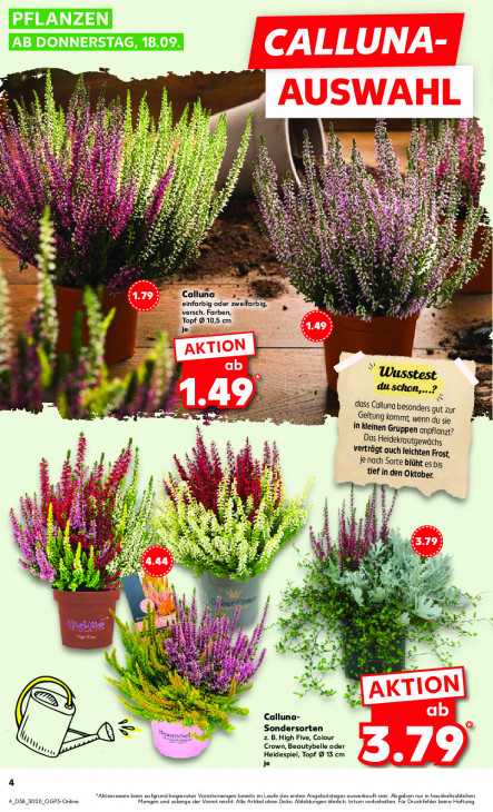 Kaufland - woche-38-ab-18-09-2025-bis-24-09-2025-seite-4-qzrqd