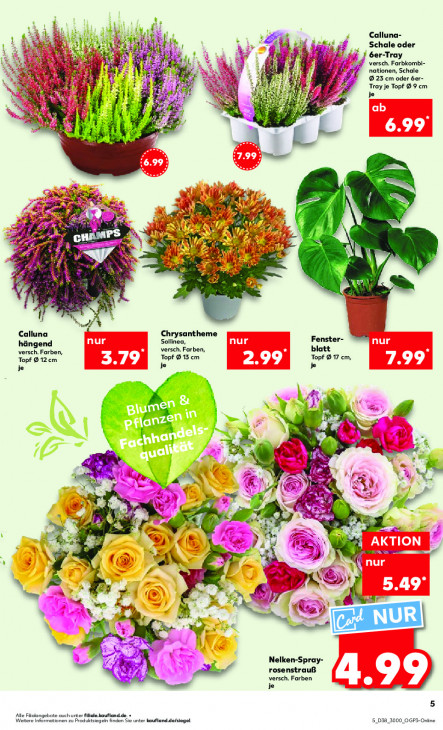Kaufland - woche-38-ab-18-09-2025-bis-24-09-2025-seite-5-qzrqd