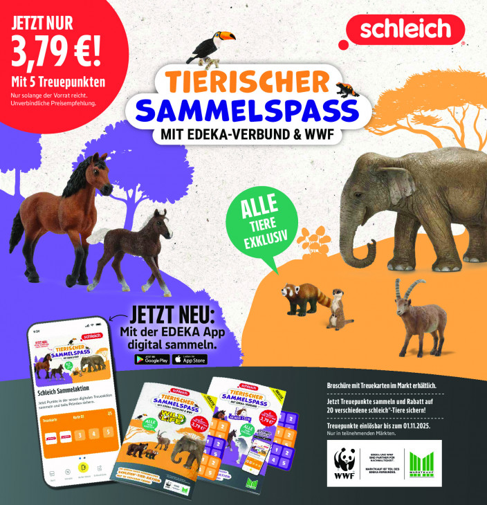Marktkauf Angebote ab 15.09.25 bis 20.09.25