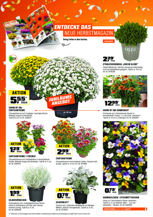 OBI - woche-38-ab-15-09-2025-bis-30-09-2025-seite-12-lzkar