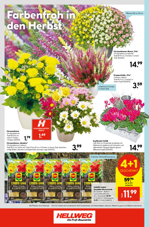 Hellweg Baumarkt Angebote ab 15.09.25 bis 20.09.25