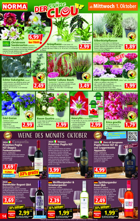 Norma - woche-40-ab-29-09-2025-bis-04-10-2025-seite-15-rzdqe