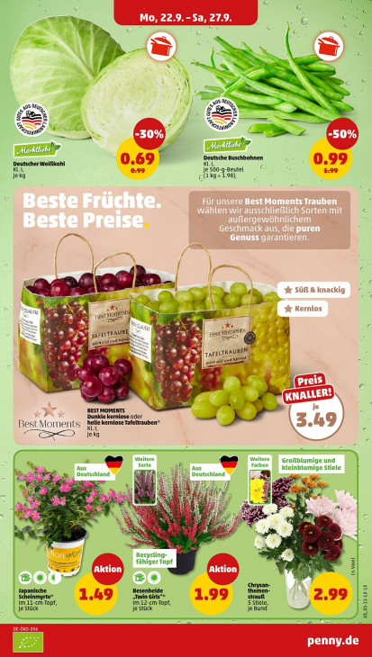 Penny Angebote ab 22.09.25 bis 27.09.25