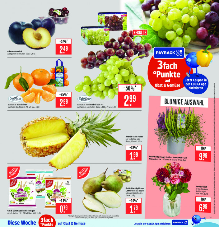 Marktkauf Angebote ab 22.09.25 bis 27.09.25