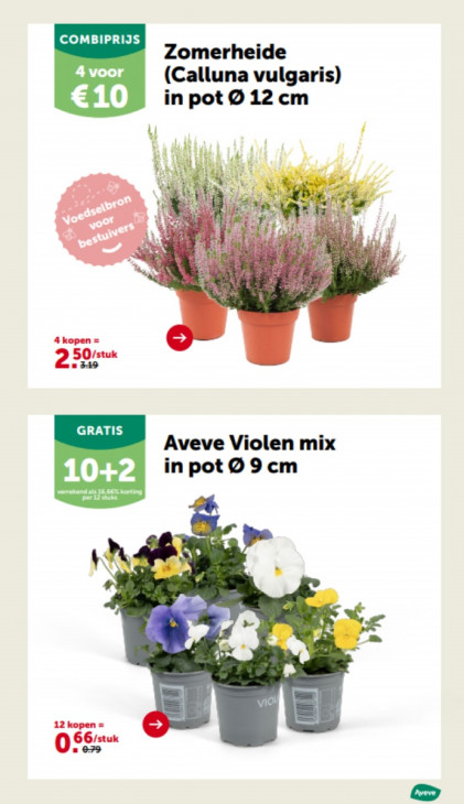 AVEVE Folder 24.09.2025