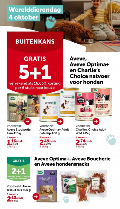 AVEVE Folder 24.09.2025