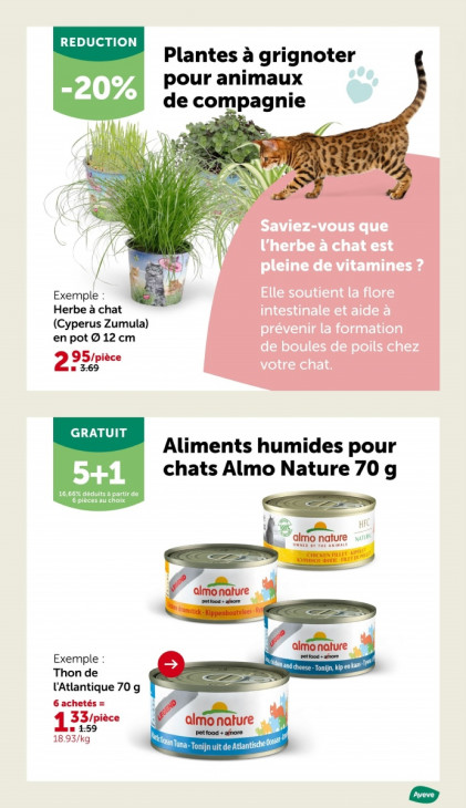 AVEVE Dépliant 24.09.2025