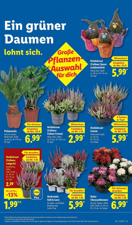 Lidl Angebote ab 29.09.25 bis 04.10.25