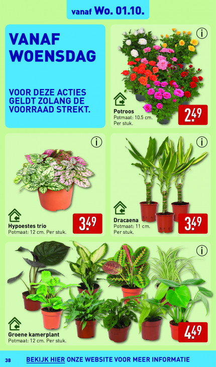 Aldi Folder 29.09.2025