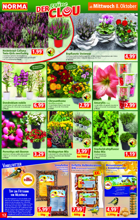 Norma Angebote ab 06.10.25 bis 11.10.25