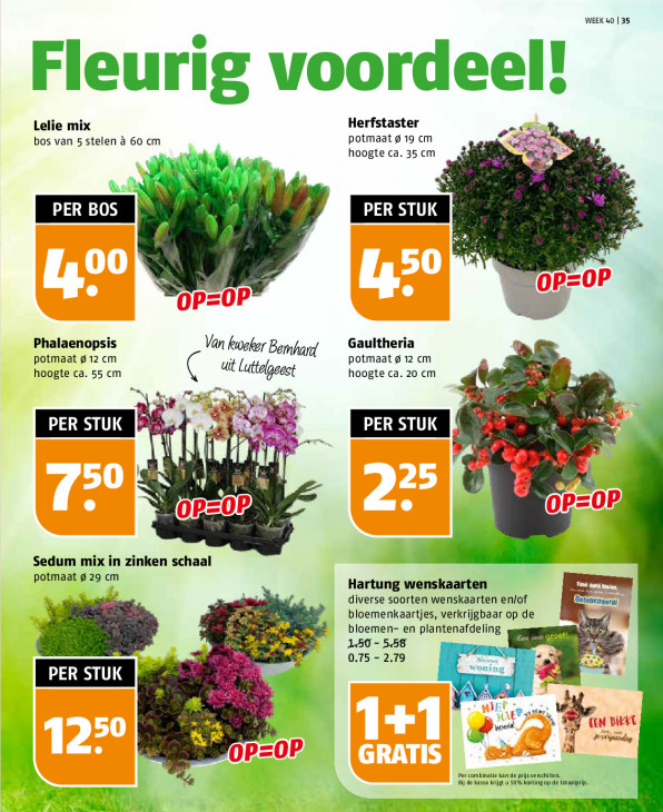 Poiesz Folder 28.09.2025