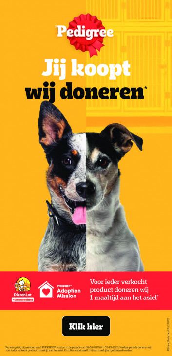 Albert Heijn Folder 29.09.2025