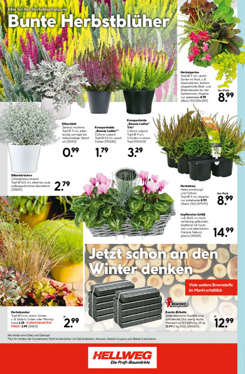 Hellweg Baumarkt Angebote ab 29.09.25 bis 04.10.25