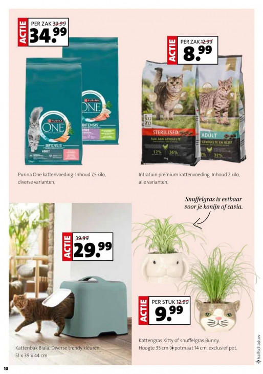 Intratuin Folder 29.09.2025