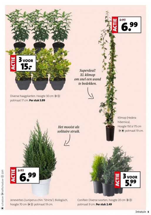 Intratuin Folder 29.09.2025