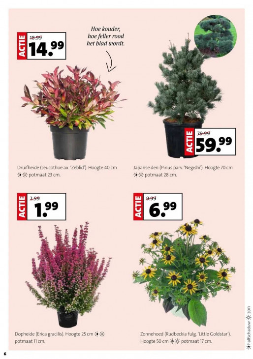 Intratuin Folder 29.09.2025