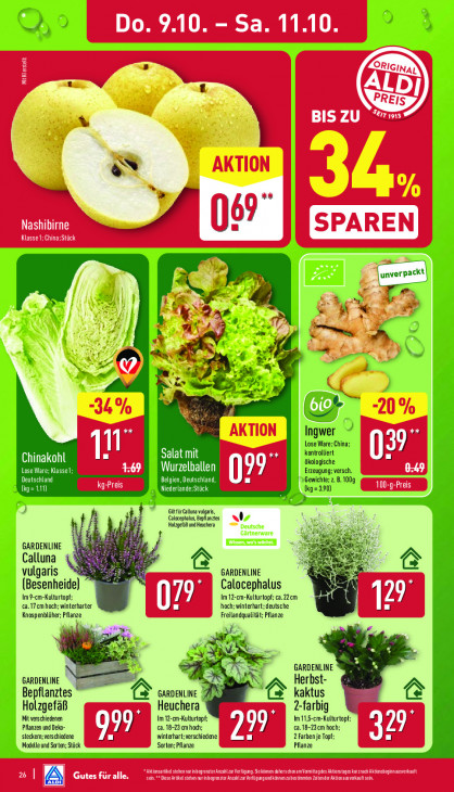 Aldi Nord - woche-41-ab-06-10-2025-bis-11-10-2025-seite-26-rzdev