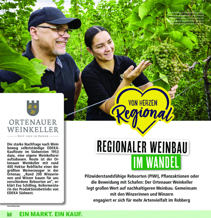 Marktkauf Angebote ab 29.09.25 bis 04.10.25