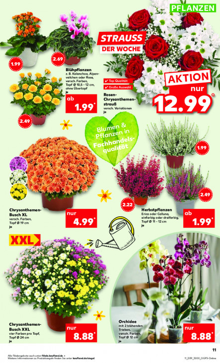 Kaufland Angebote ab 29.09.25 bis 01.10.25