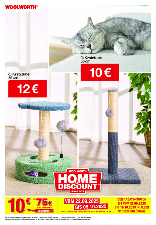 Woolworth - woche-43-ab-26-10-2025-bis-06-11-2025-seite-51-ozgnn