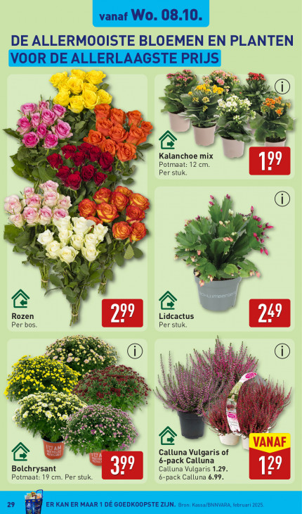 Aldi Folder 06.10.2025