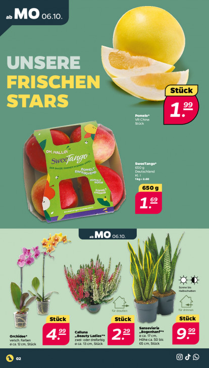 Netto Angebote ab 06.10.25 bis 11.10.25