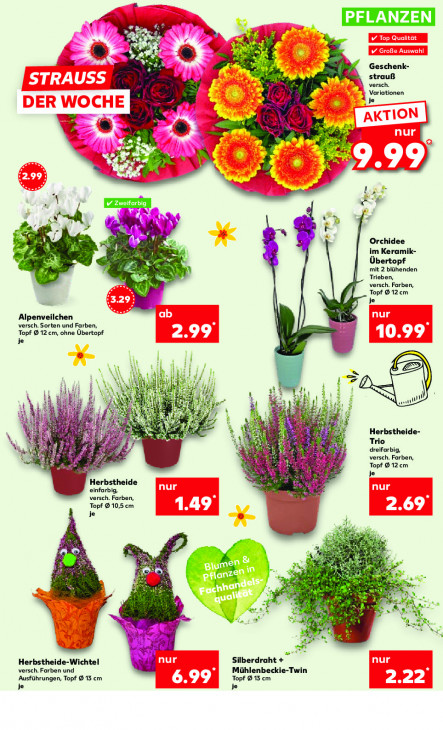 Kaufland - woche-41-ab-09-10-2025-bis-15-10-2025-seite-5-ozpln