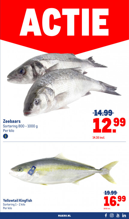 Makro Folder 08.10.2025