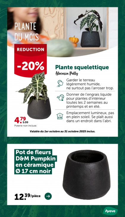 AVEVE Dépliant 08.10.2025