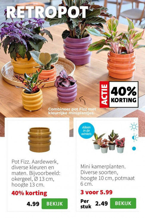 Intratuin Folder 06.10.2025