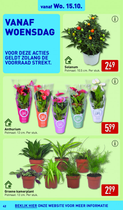 Aldi Folder 13.10.2025