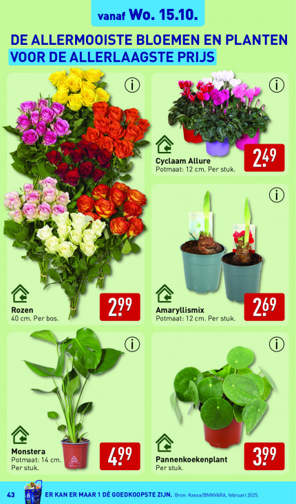 Aldi Folder 13.10.2025