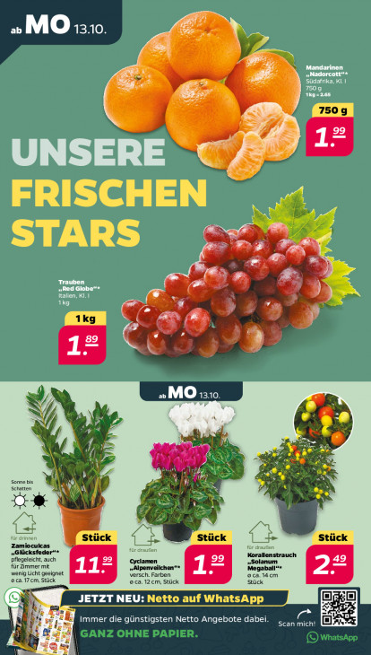Netto Angebote ab 13.10.25 bis 18.10.25