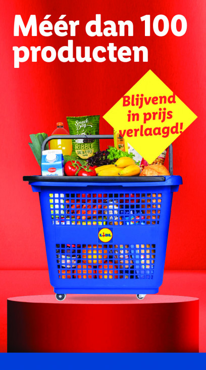 Lidl Folder 13.10.2025