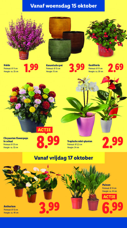 Lidl Folder 13.10.2025