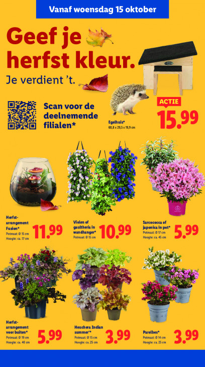 Lidl Folder 13.10.2025