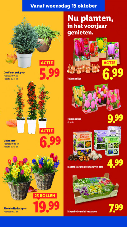 Lidl Folder 13.10.2025