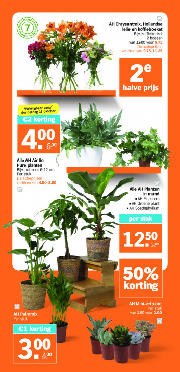 Albert Heijn Folder 13.10.2025