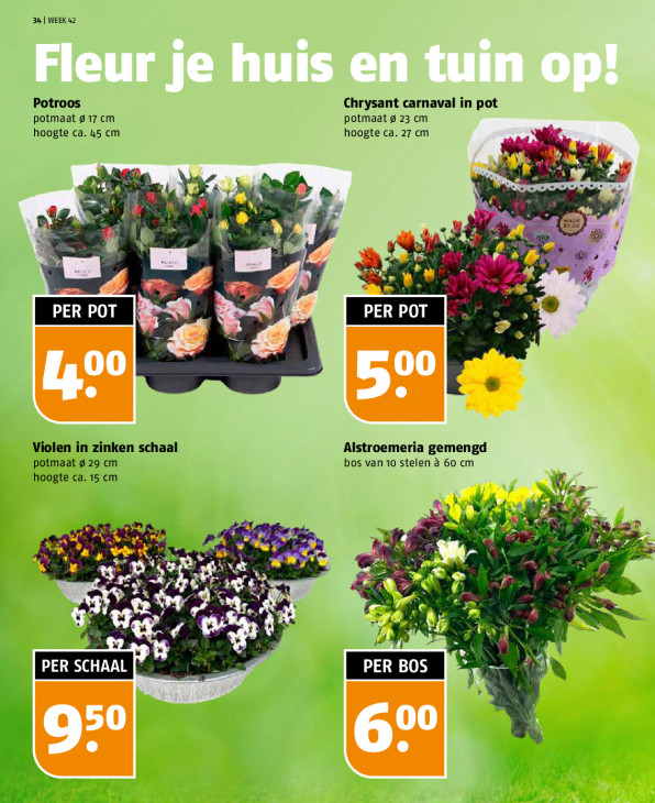 Poiesz Folder 12.10.2025