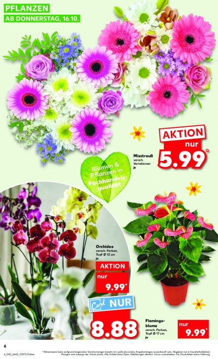 Kaufland - woche-42-ab-16-10-2025-bis-22-10-2025-seite-6-lzdzd