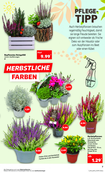 Kaufland - woche-42-ab-16-10-2025-bis-22-10-2025-seite-7-lzdzd