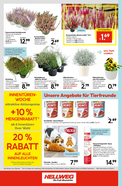 Hellweg Baumarkt Angebote ab 13.10.25 bis 18.10.25