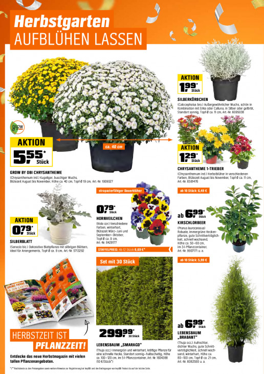 OBI - woche-40-ab-01-10-2025-bis-15-10-2025-seite-6-bvpwo