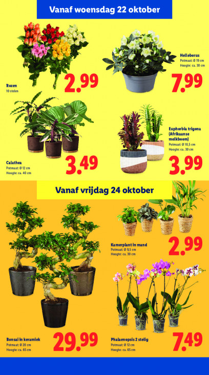 Lidl Folder 20.10.2025