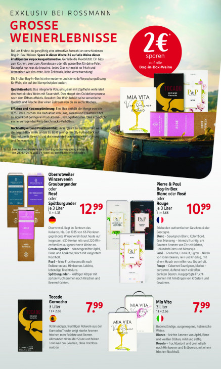 Rossmann Angebote ab 20.10.25 bis 24.10.25