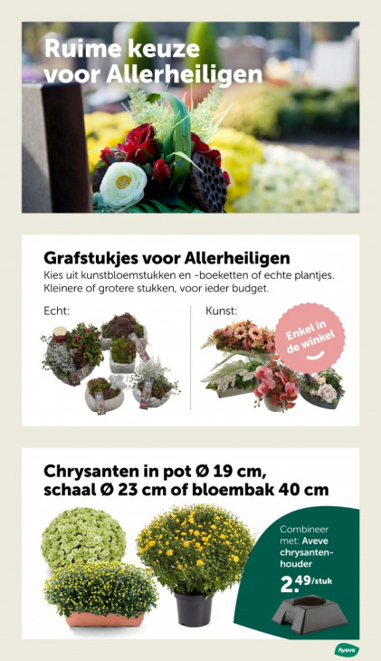 AVEVE Folder 22.10.2025