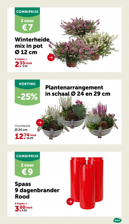 AVEVE Folder 22.10.2025