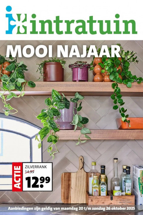 Intratuin Folder 20.10.2025