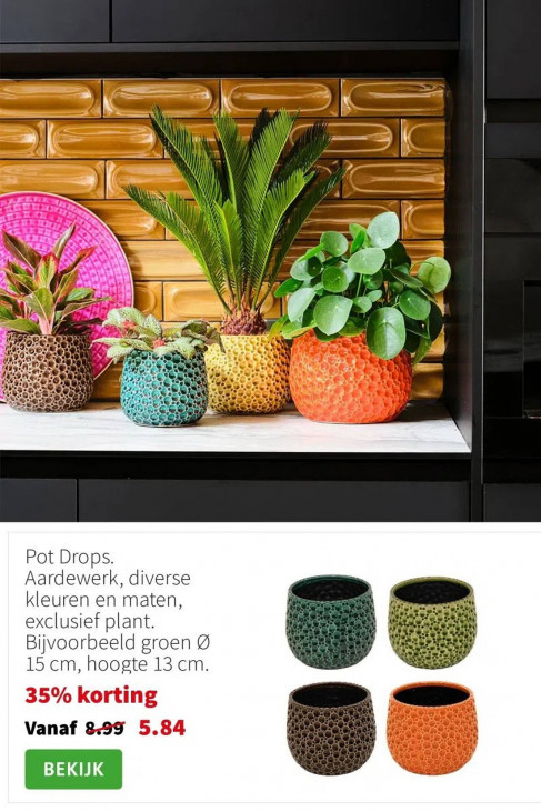 Intratuin Folder 20.10.2025